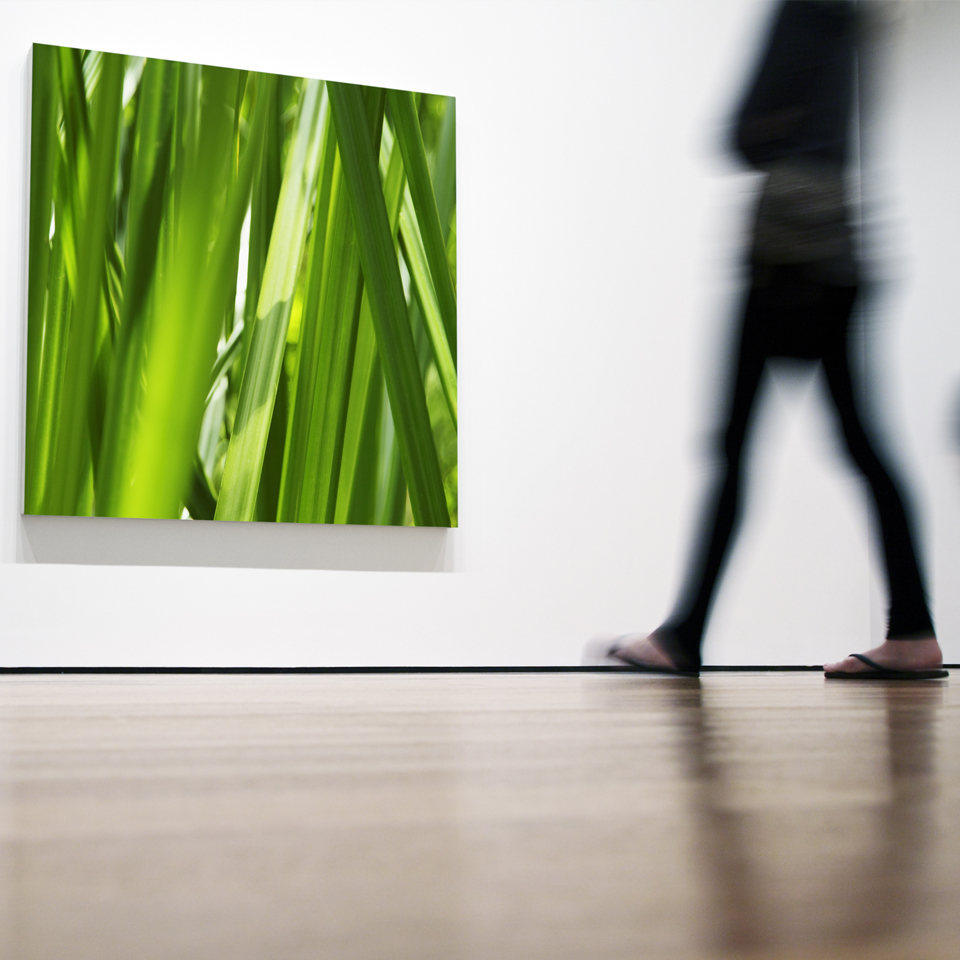 

By Bruno Cabrera
Legendary Designz